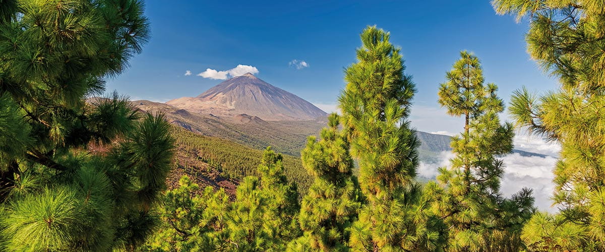 Tenerife’s Mount Teide